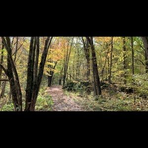 Meet your Posher, Kelli